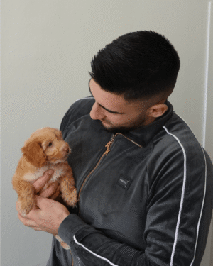 Elite Comfort Dark Grey Velour Tracksuit 2P