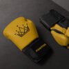 Premium Leather Training & Sparring Mitts