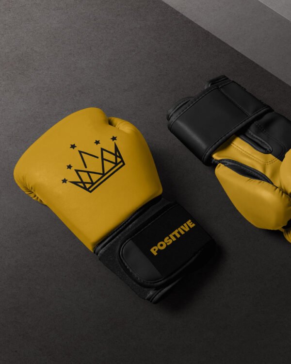 Premium Leather Training & Sparring Mitts