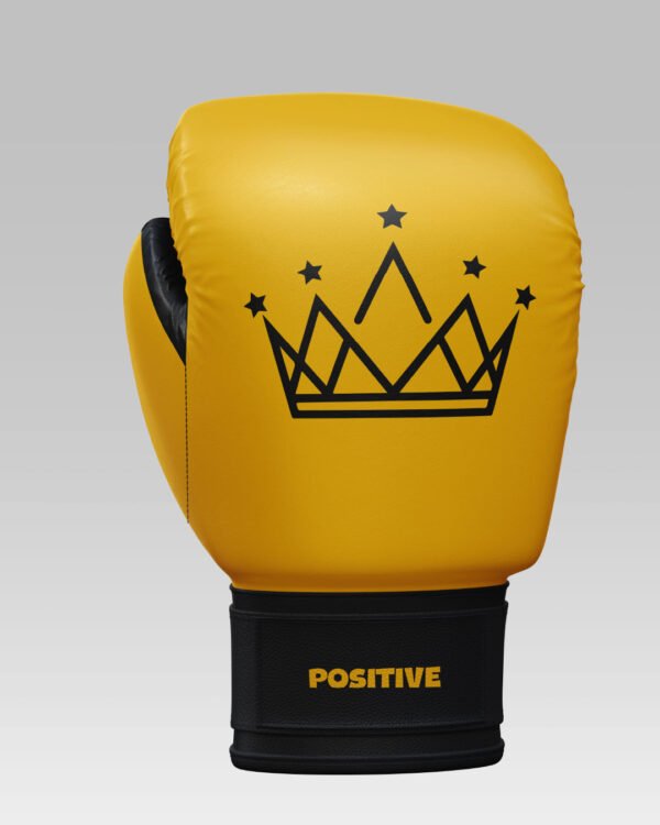 Premium Leather Training & Sparring Mitts