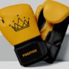 Premium Leather Training & Sparring Mitts
