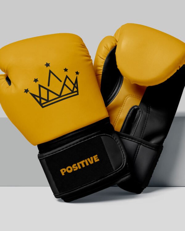 Premium Leather Training & Sparring Mitts