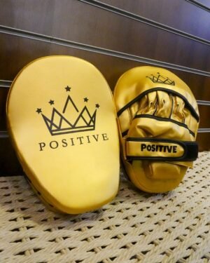 Premium Gold Boxing Focus Pads 2